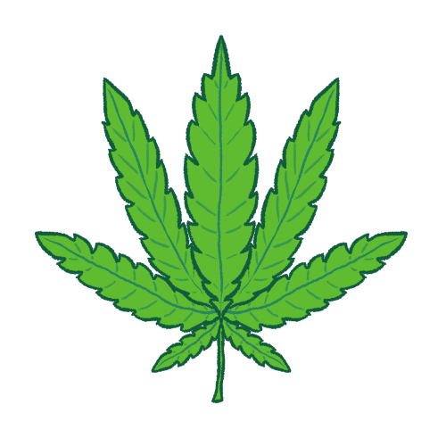 A digitally drawn image of a green cannabis leaf.